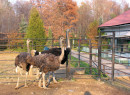 ZOO Spišská Nová Ves